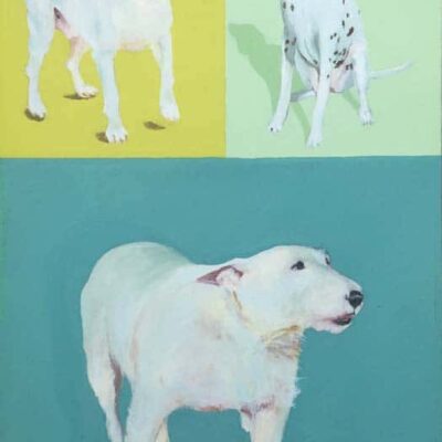 Barking Mad © Sheena Vallely