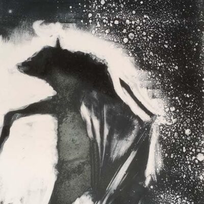 Bat Out of Hell © Sheena Vallely