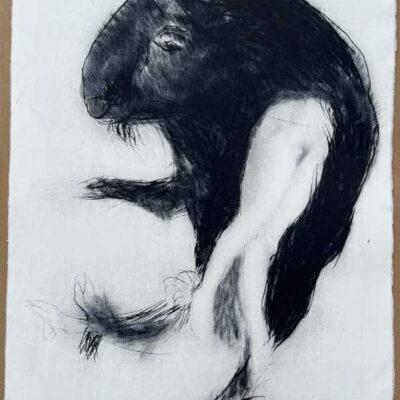 Bluebeard Dances © Sheena Vallely