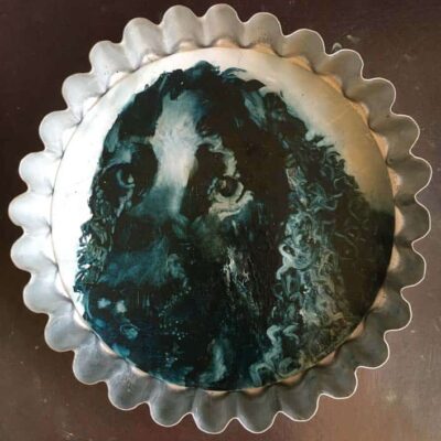 Chuff in a Ruff © Sheena Vallely