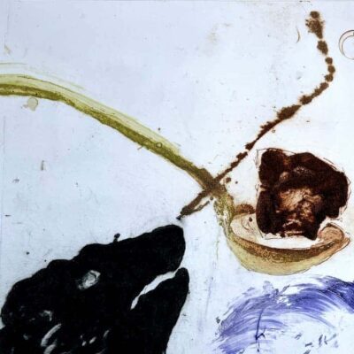 Every Day Should Be a Vlaai Day by Sheena Vallely