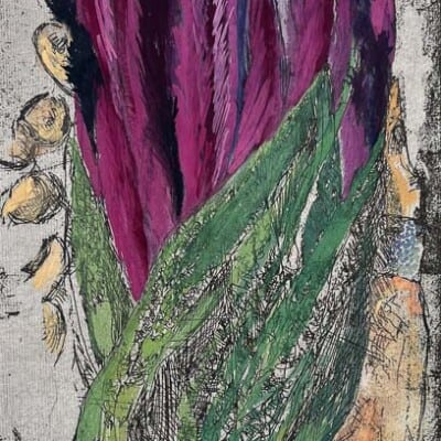 Fistful of Protea hand coloured © Sheena Vallely