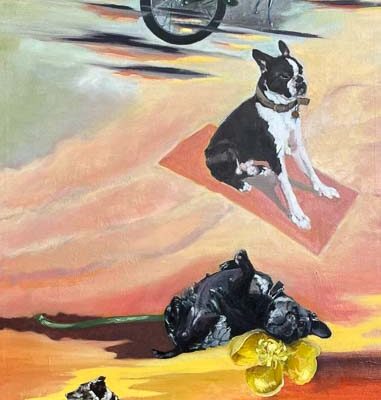 Flying Visit © Sheena Vallely