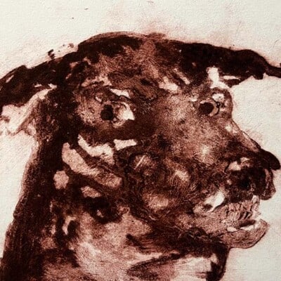 Friendly Dog horse chestnut by Sheena Vallely