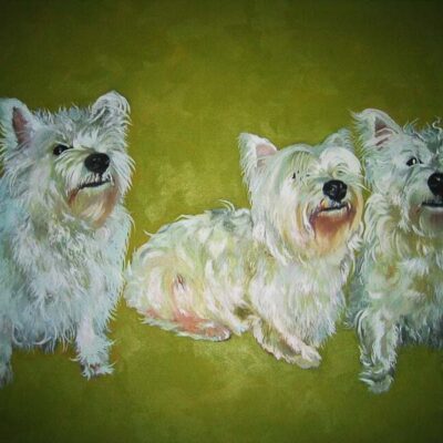 Glorious-Westies-Sheena-Vallely