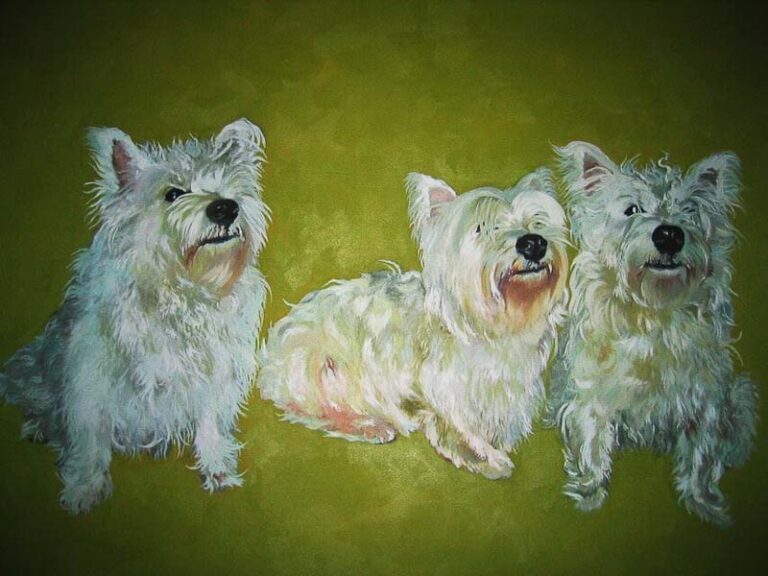 Glorious-Westies-Sheena-Vallely