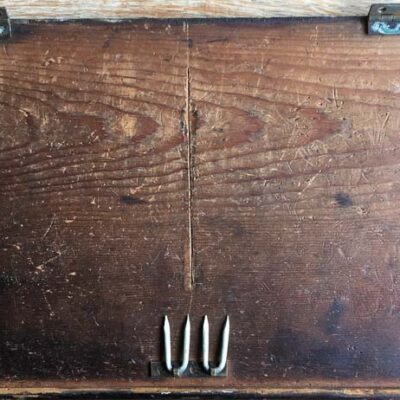 Guinea Pig by Sheena Vallely