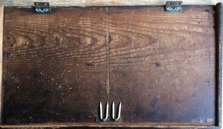 Guinea Pig by Sheena Vallely