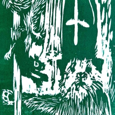 In Costume by Sheena Vallely