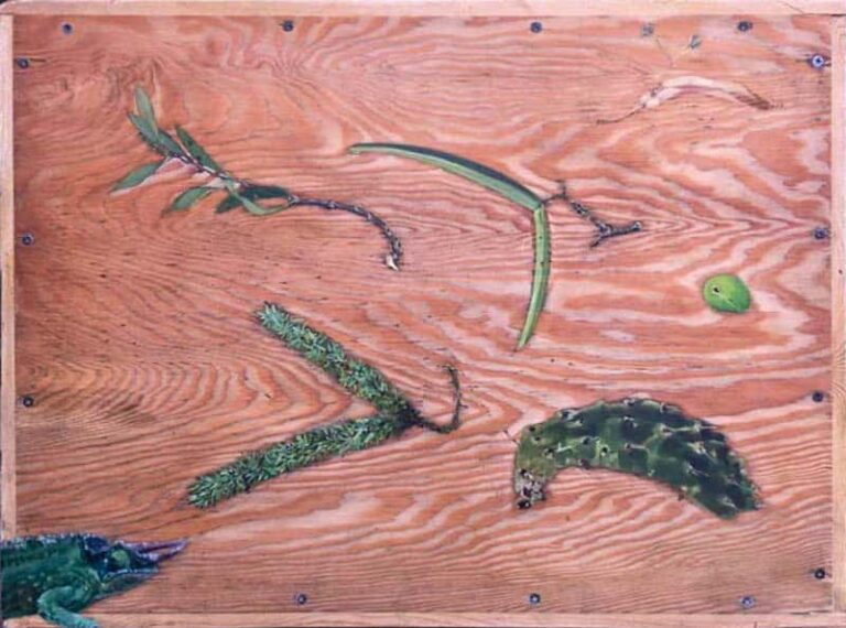 Intruder by Sheena Vallely