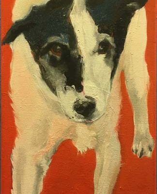 Jack Brueghel © Sheena Vallely