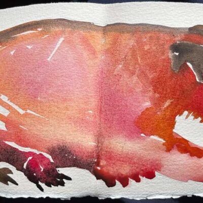 Jelly Dog © Sheena Vallely