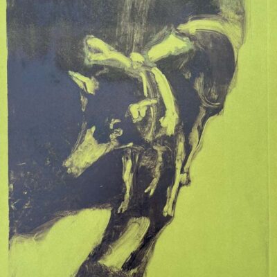 Josephine Bakers Pet Pig © Sheena Vallely