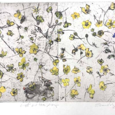 Lost in the Loop © Sheena Vallely