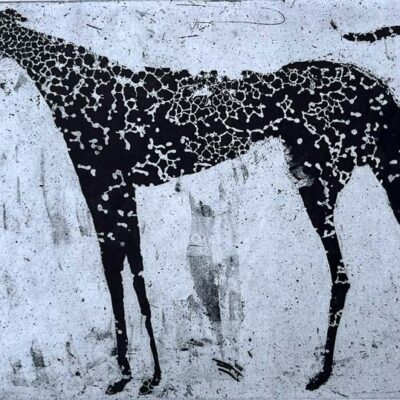 Paynes Grey © Sheena Vallely