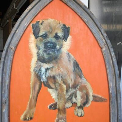 Percy © Sheena Vallely