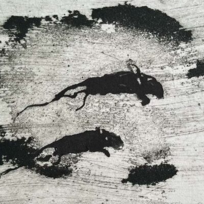 Ratrace by Sheena Vallely