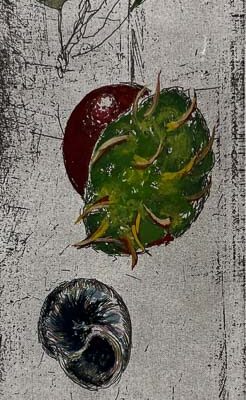 Seeds Shells and Bumblebee © Sheena Vallely