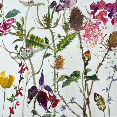 Spring by Sheena Vallely