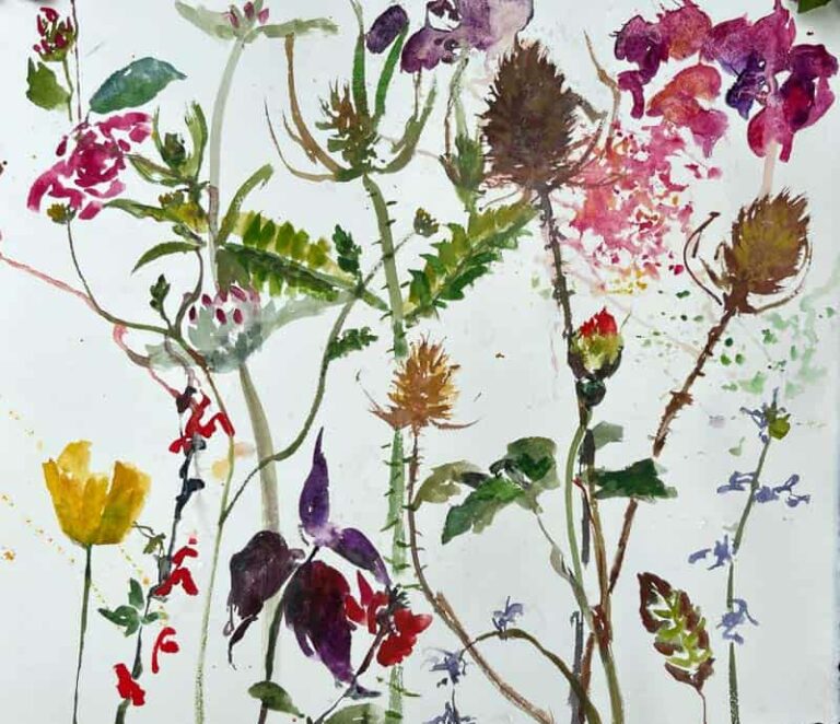 Spring by Sheena Vallely