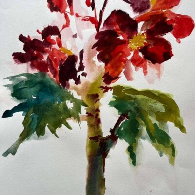 Suburban Tropic © Sheena Vallely