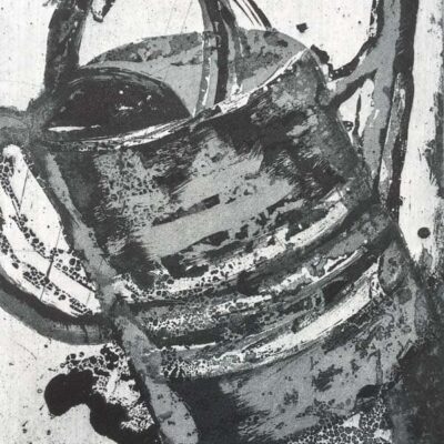 Tarcan © Sheena Vallely