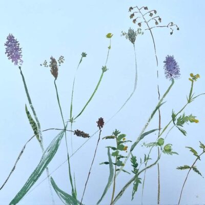 Up on the Downs by Sheena Vallely