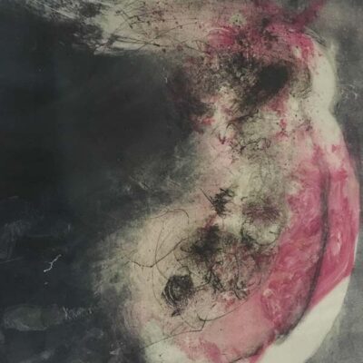 Water Flea © Sheena Vallely