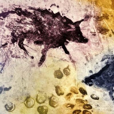 Wild Boar Forest Floor © Sheena Vallely