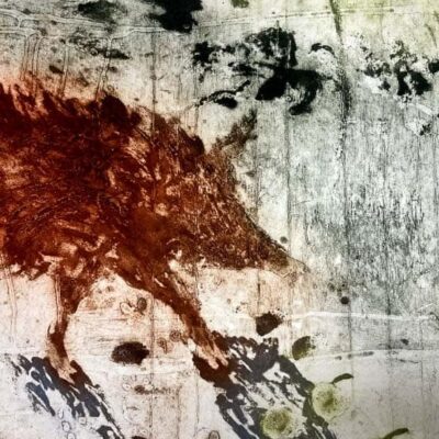 Wild Boar Fruit and Nuts © Sheena Vallely