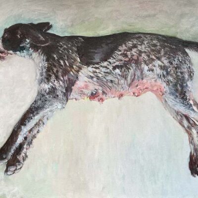 Wunderhund © Sheena Vallely