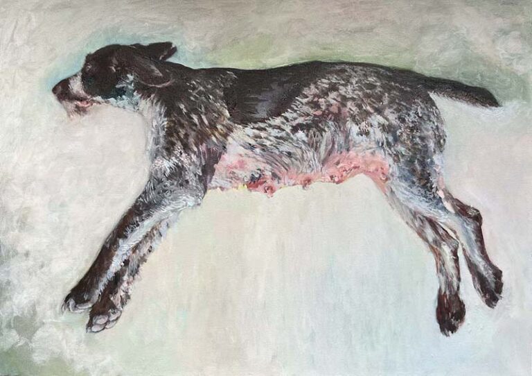 Wunderhund © Sheena Vallely